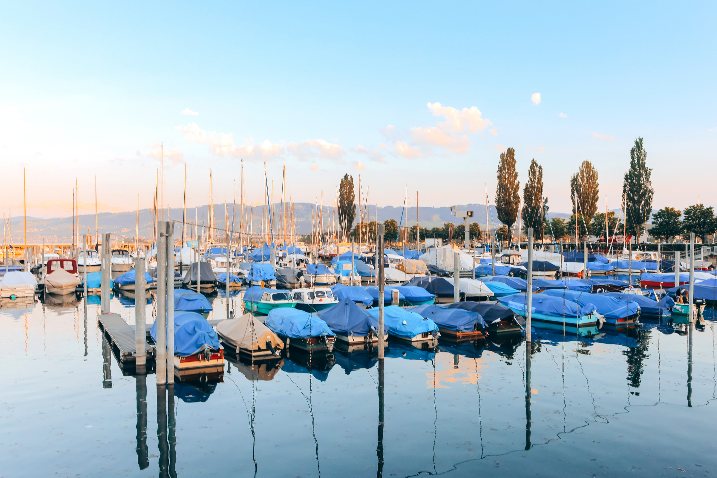 30_Arbon[1].webp
